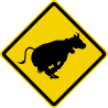 Panneau australien vache